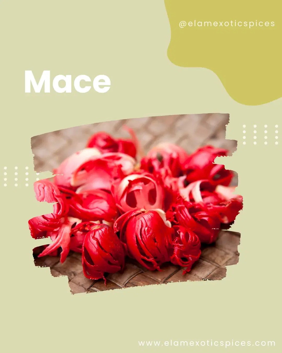 Mace
