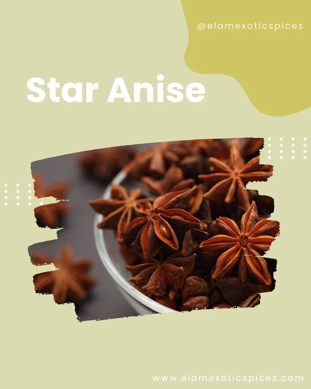 Star Anise