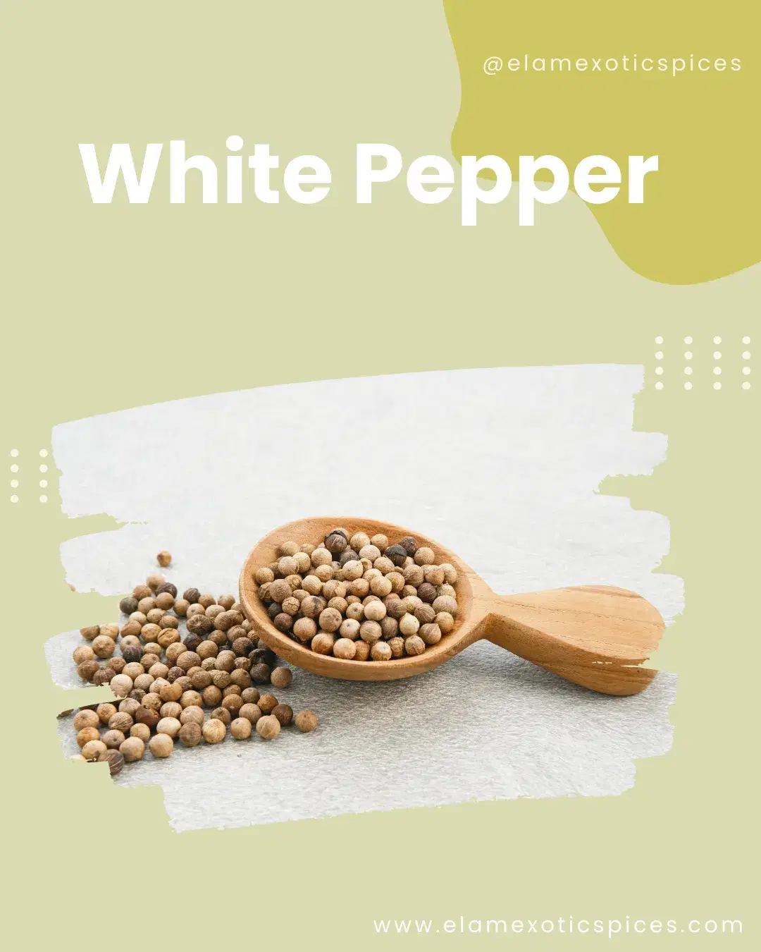 White Pepper